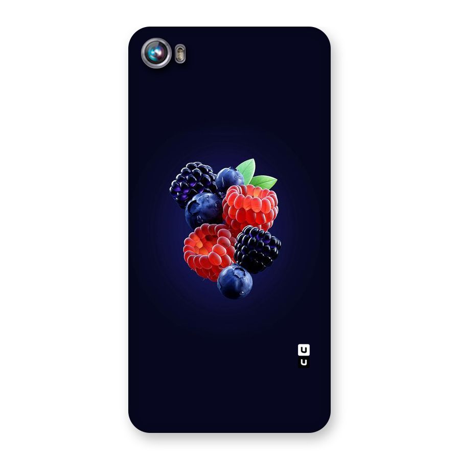 Berry Blast Back Case for Micromax Canvas Fire 4 A107