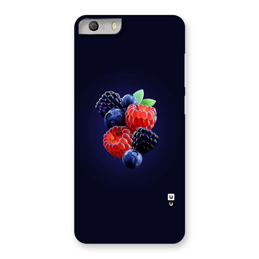 Berry Blast Back Case for Micromax Canvas Knight 2