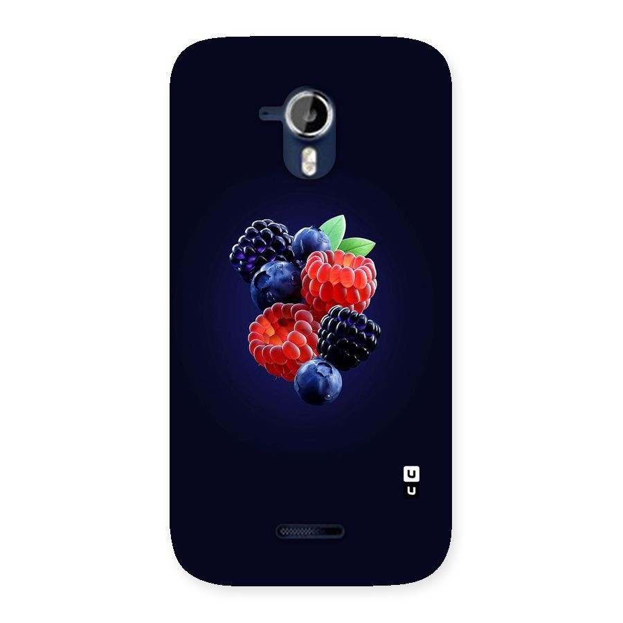 Berry Blast Back Case for Micromax Canvas Magnus A117