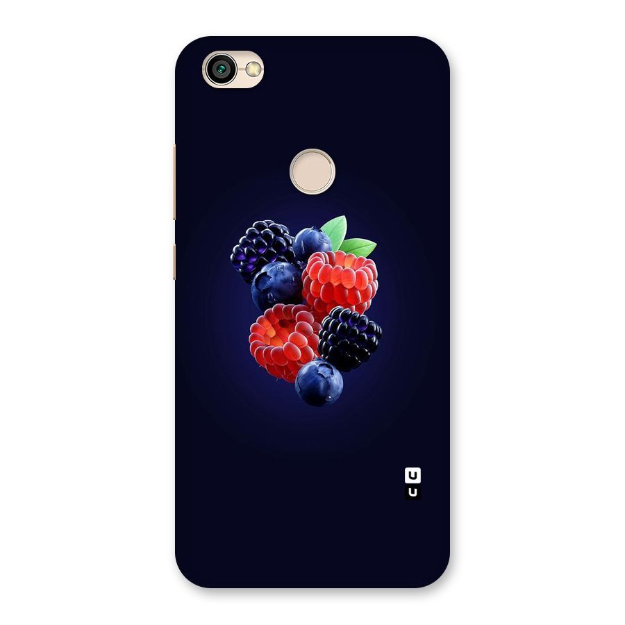 Berry Blast Back Case for Redmi Y1 2017