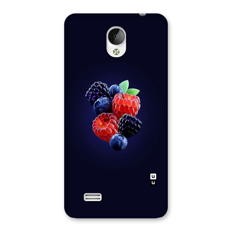 Berry Blast Back Case for Vivo Y21