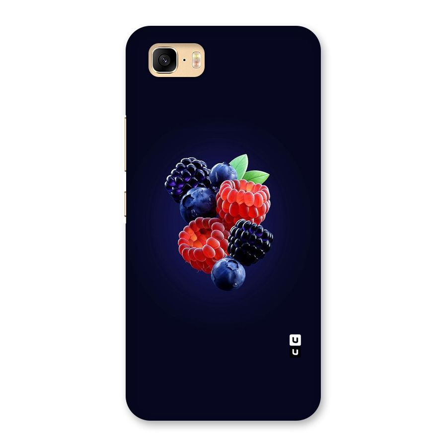 Berry Blast Back Case for Zenfone 3s Max