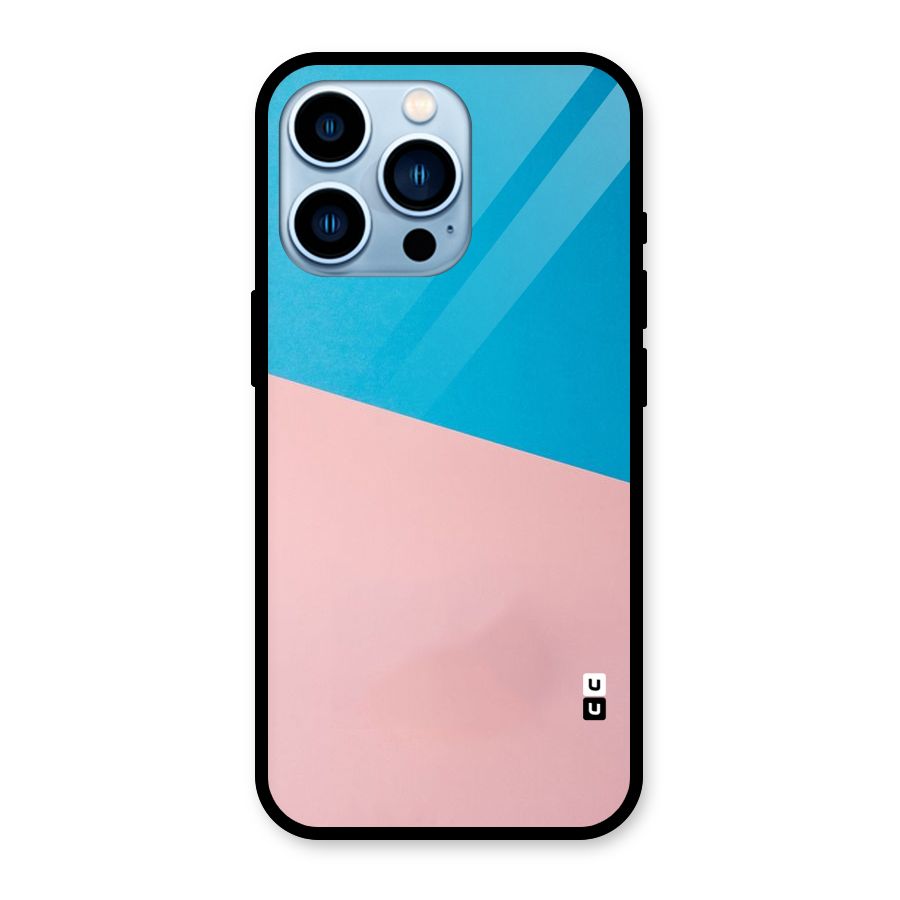 Bicolor Design Glass Back Case for iPhone 13 Pro