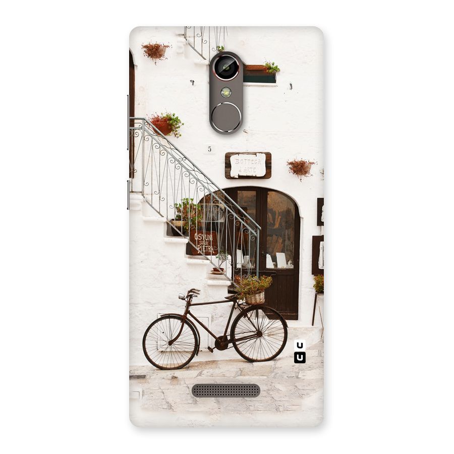 Bicycle Wall Back Case for Gionee S6s