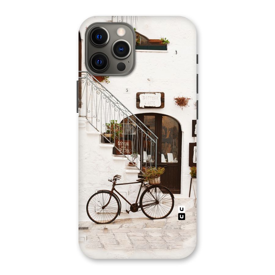 Bicycle Wall Back Case for iPhone 12 Pro Max
