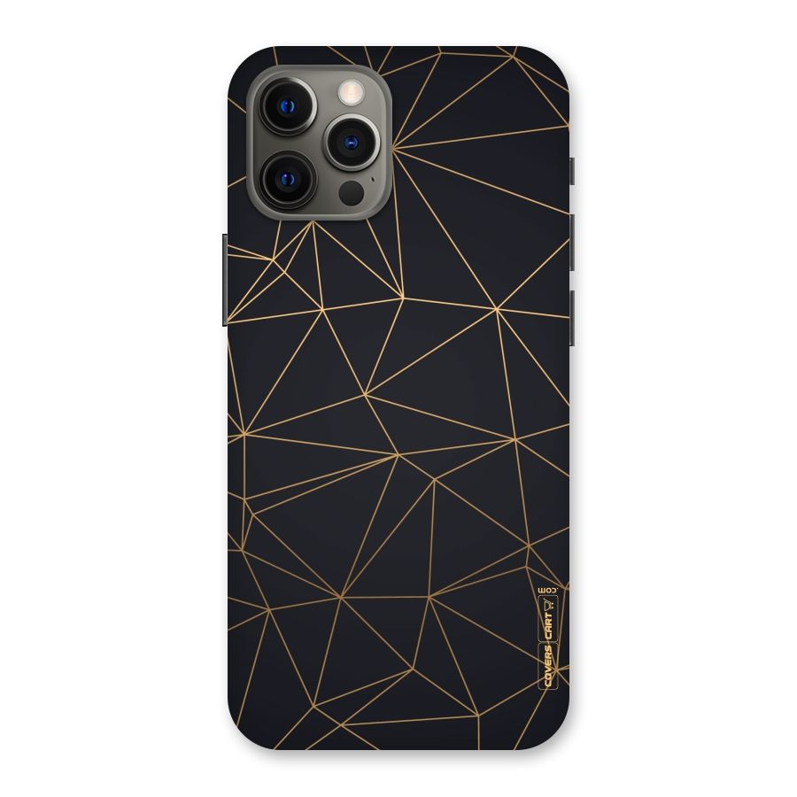 Black Golden Lines Back Case for iPhone 12 Pro Max