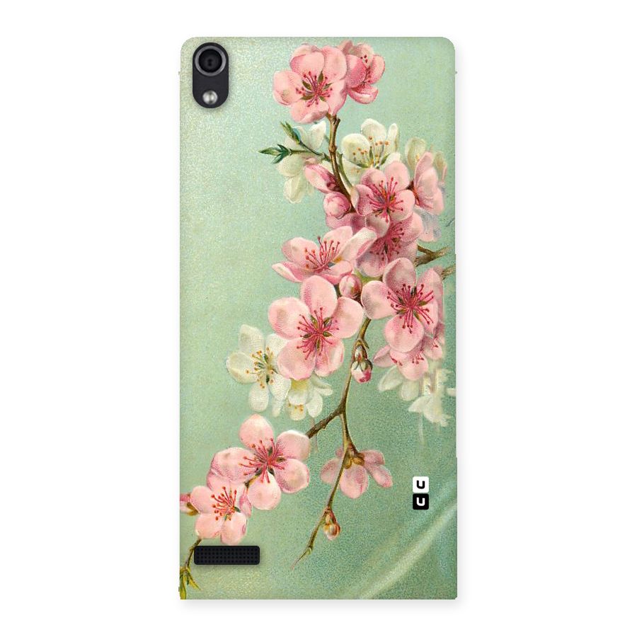 Blossom Cherry Design Back Case for Ascend P6