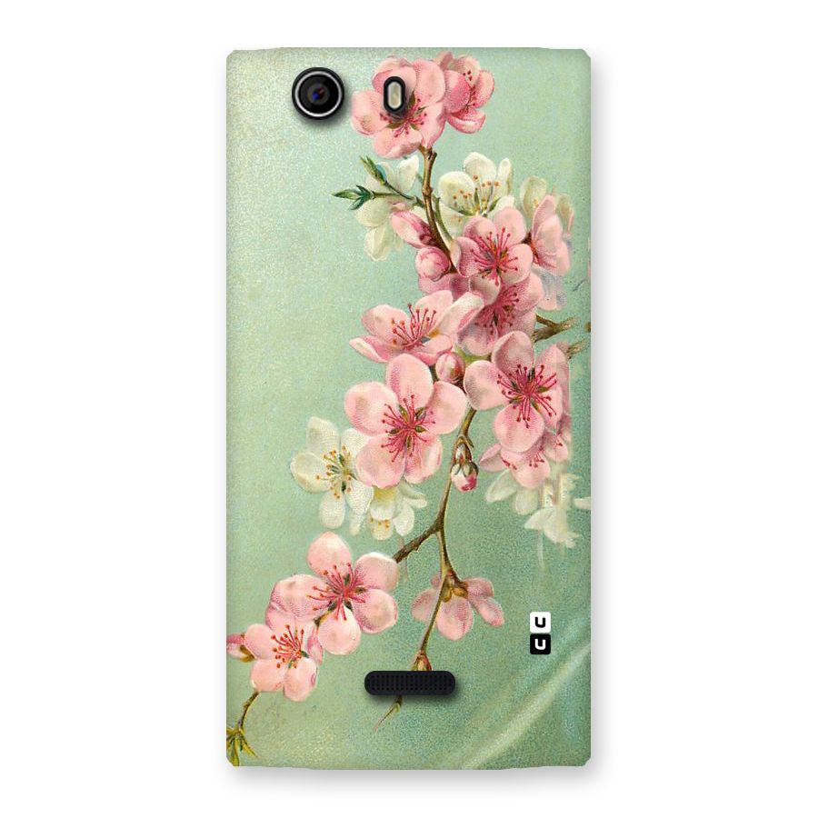 Blossom Cherry Design Back Case for Canvas Nitro 2 E311