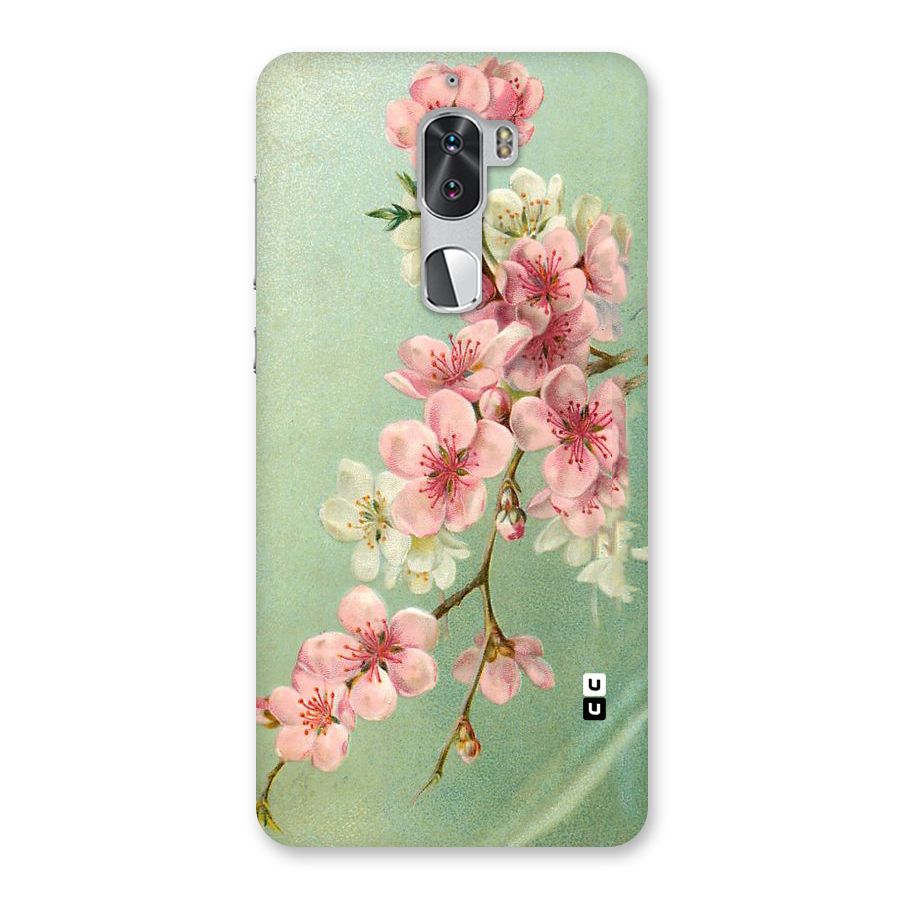 Blossom Cherry Design Back Case for Coolpad Cool 1