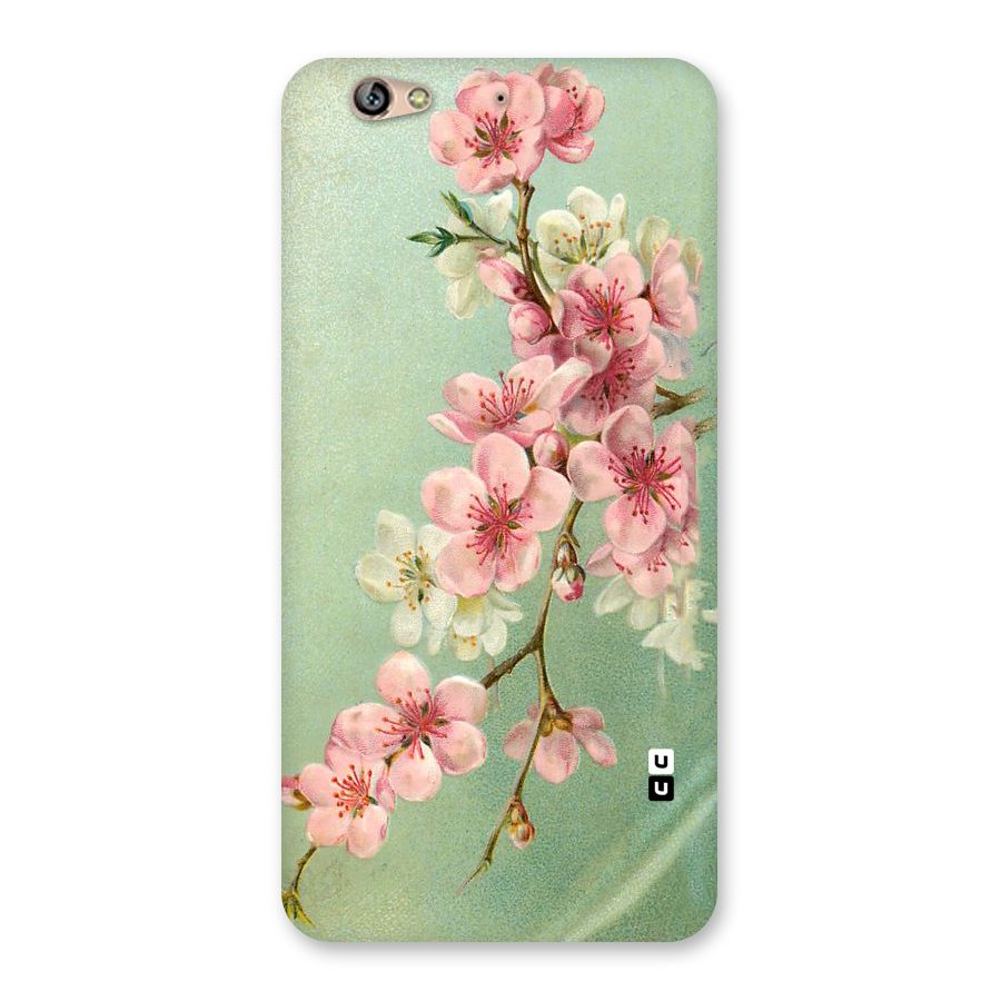 Blossom Cherry Design Back Case for Gionee S6