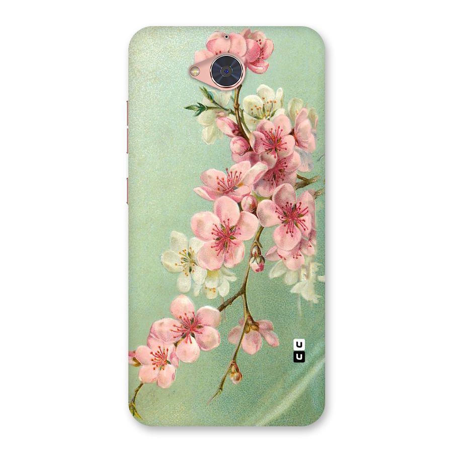 Blossom Cherry Design Back Case for Gionee S6 Pro
