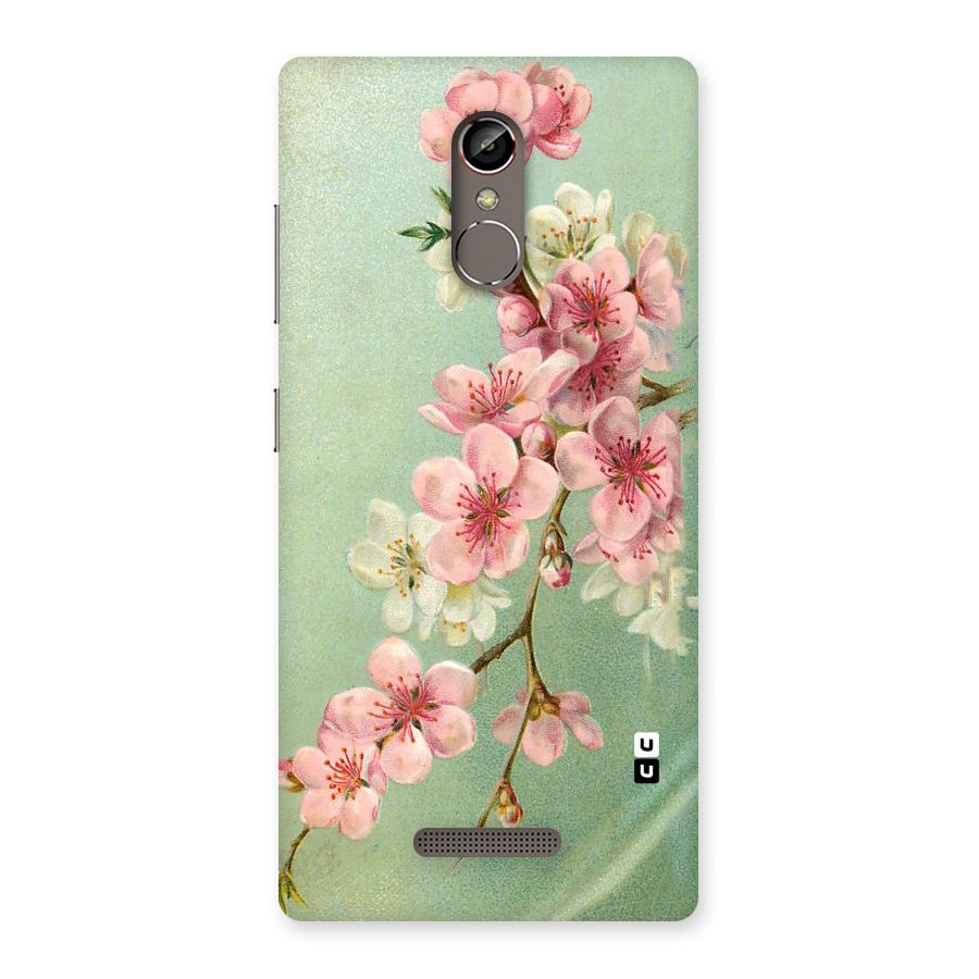 Blossom Cherry Design Back Case for Gionee S6s