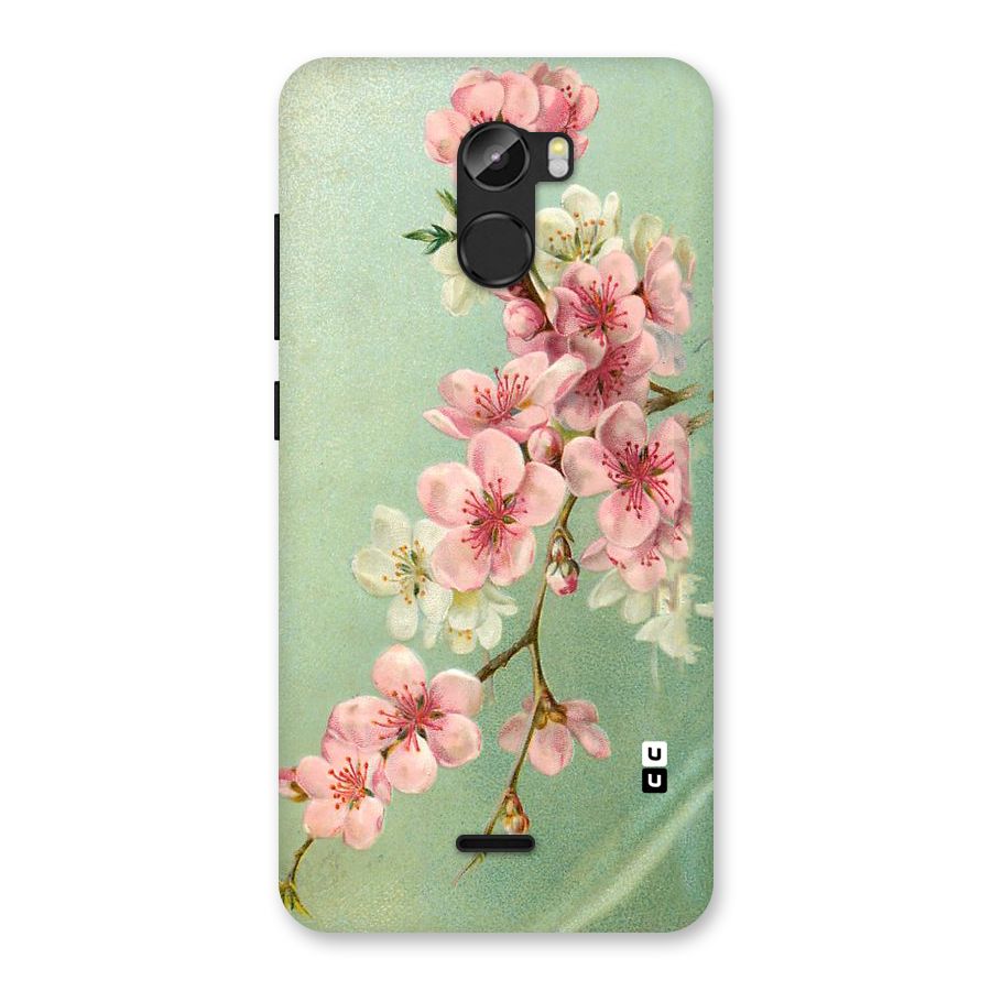 Blossom Cherry Design Back Case for Gionee X1