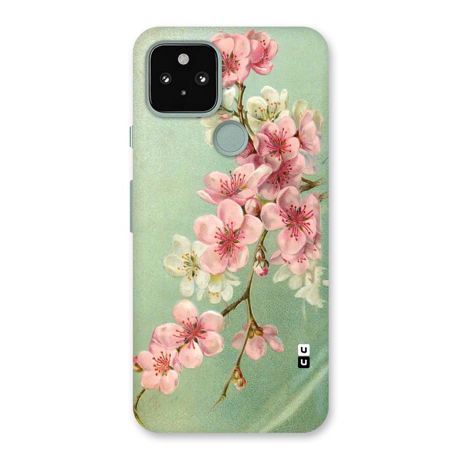Blossom Cherry Design Back Case for Google Pixel 5