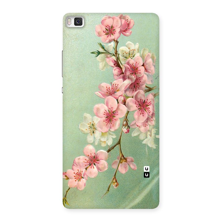 Blossom Cherry Design Back Case for Huawei P8