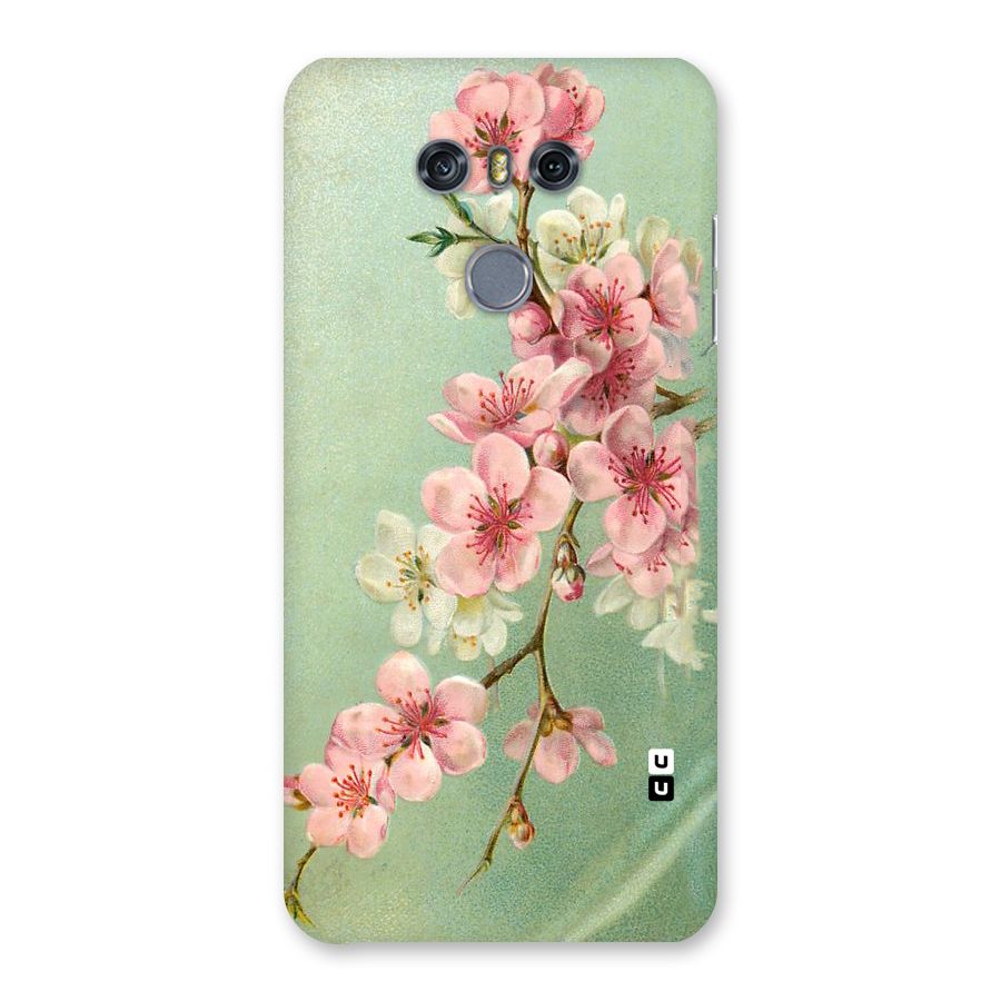 Blossom Cherry Design Back Case for LG G6