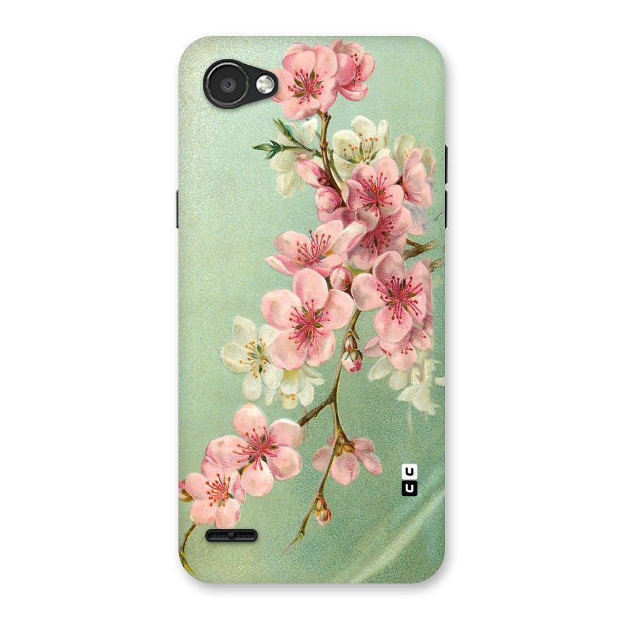 Blossom Cherry Design Back Case for LG Q6
