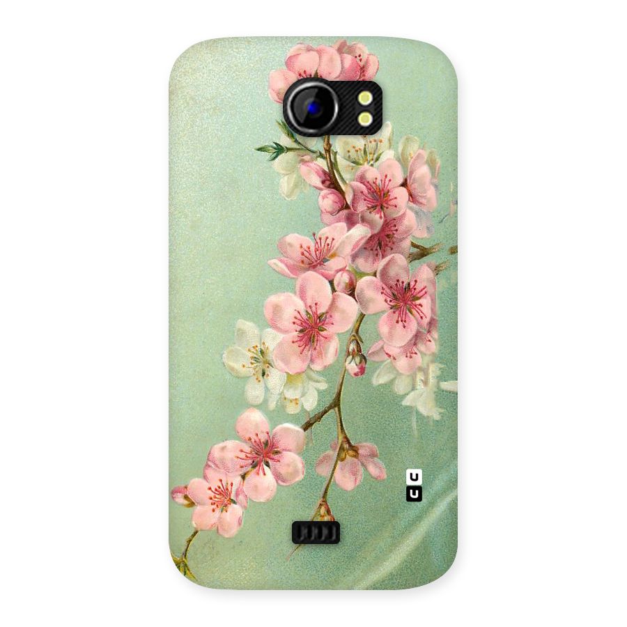 Blossom Cherry Design Back Case for Micromax Canvas 2 A110