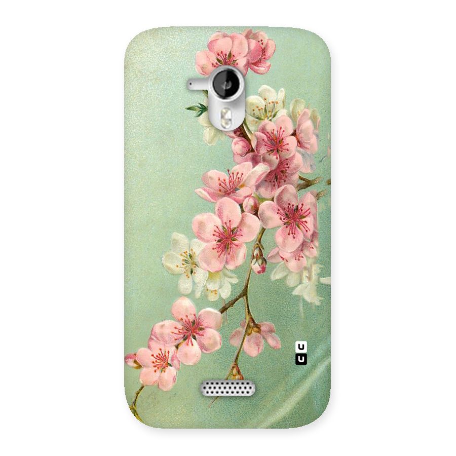 Blossom Cherry Design Back Case for Micromax Canvas HD A116