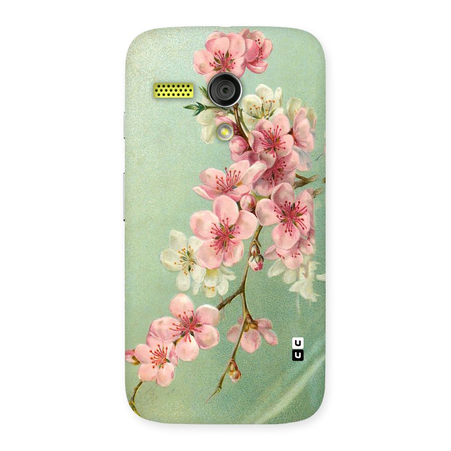 Blossom Cherry Design Back Case for Moto G