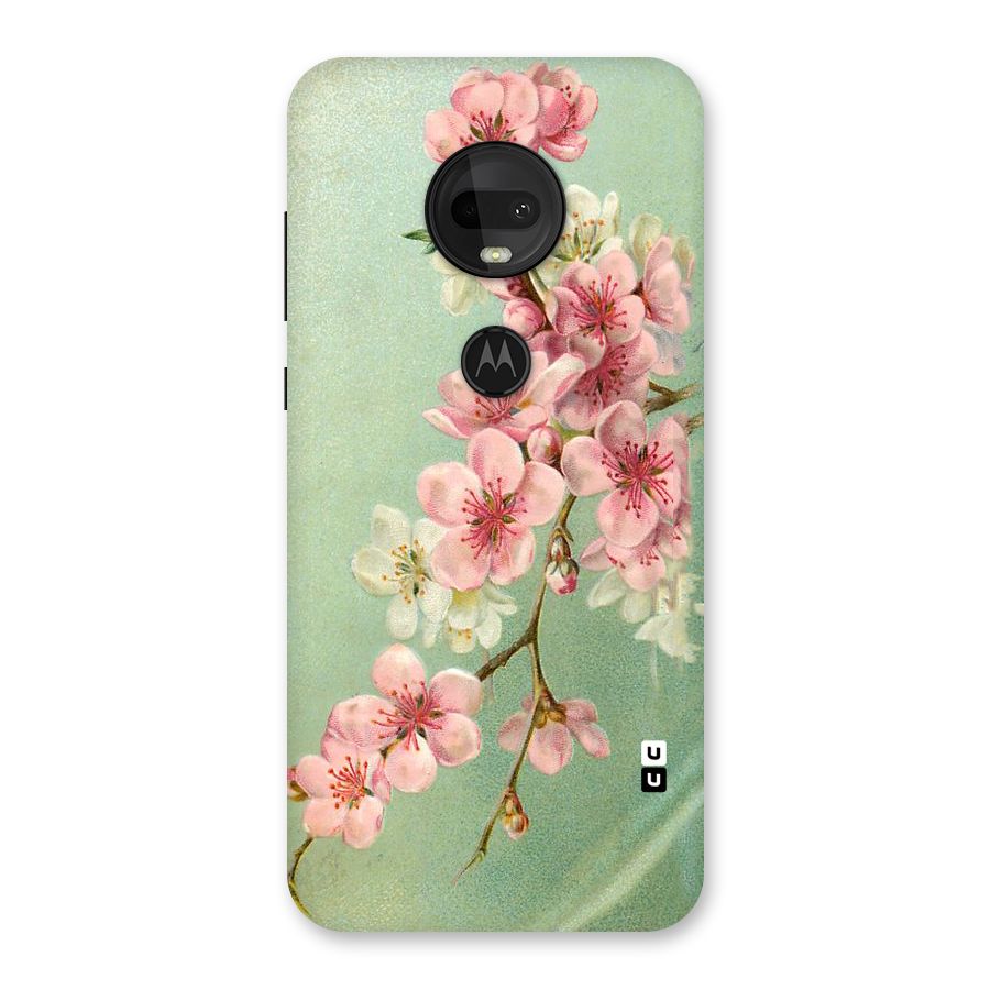 Blossom Cherry Design Back Case for Moto G7