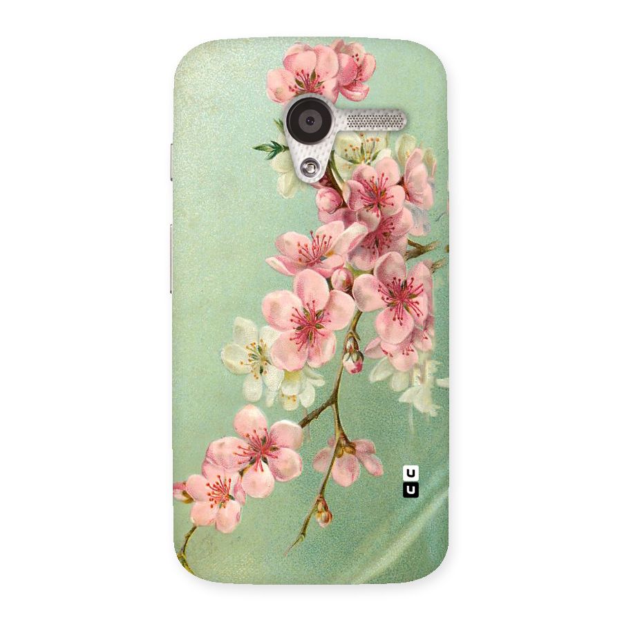 Blossom Cherry Design Back Case for Moto X