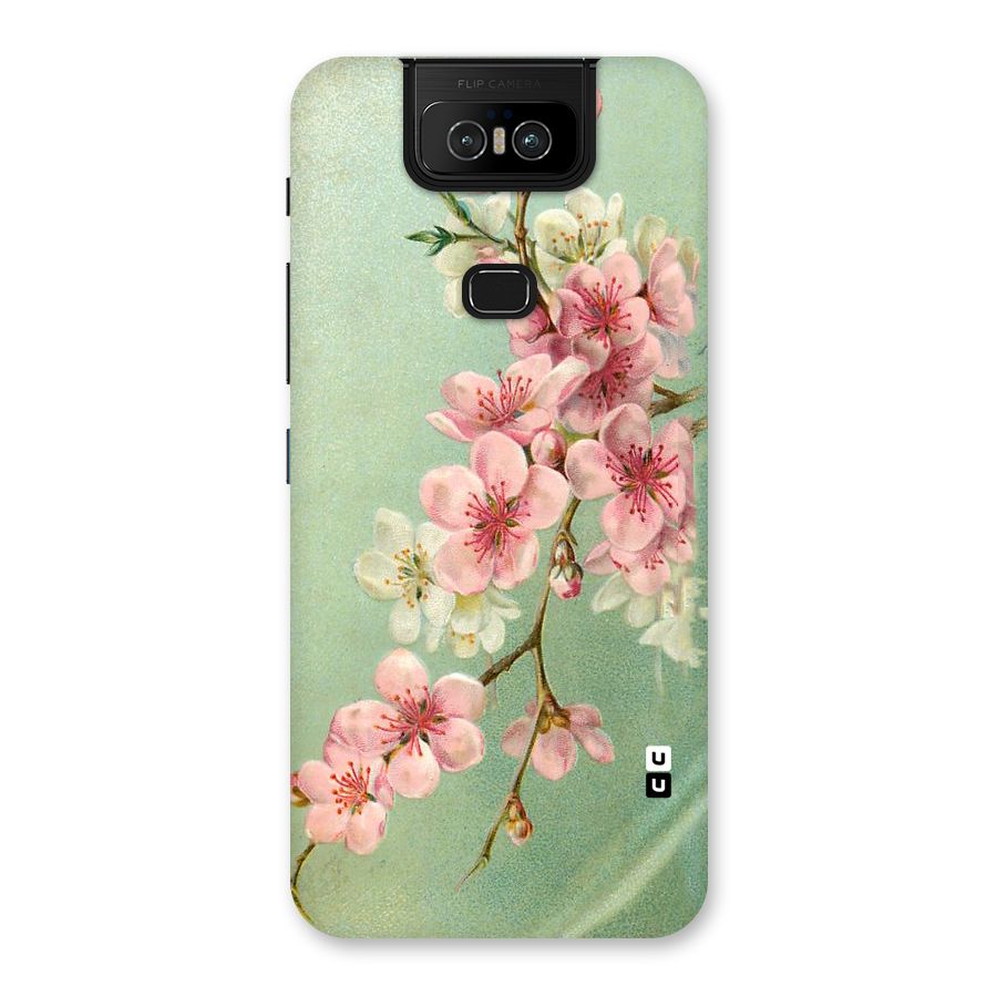 Blossom Cherry Design Back Case for Zenfone 6z