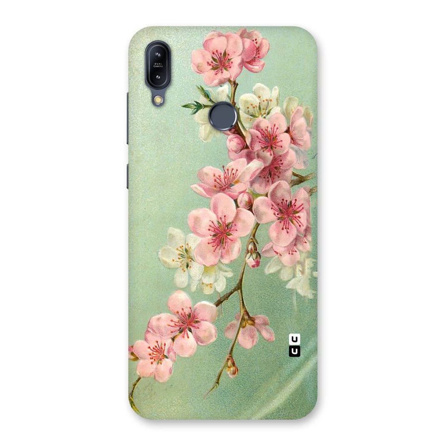 Blossom Cherry Design Back Case for Zenfone Max M2