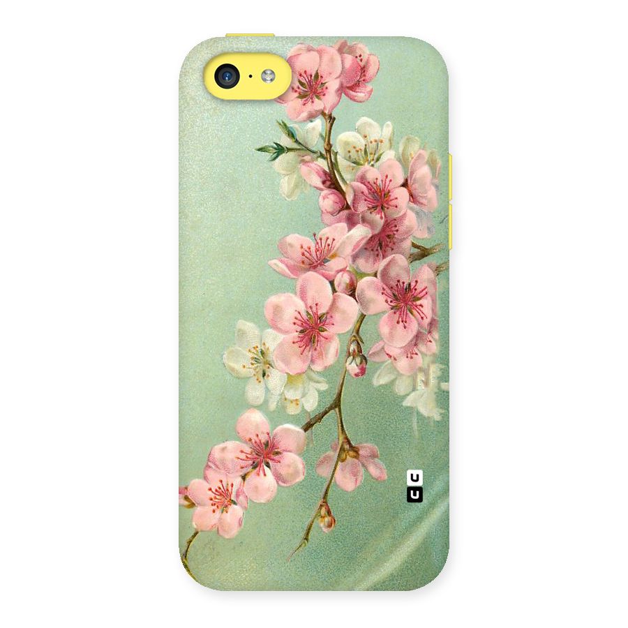 Blossom Cherry Design Back Case for iPhone 5C