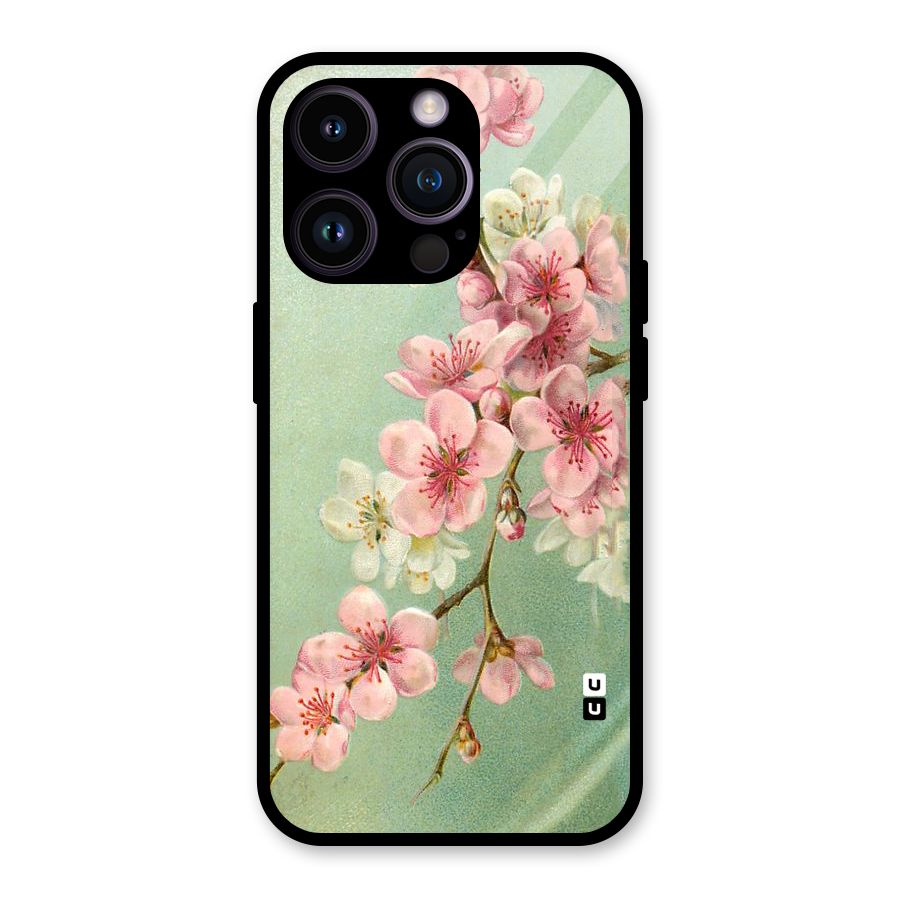 Blossom Cherry Design Glass Back Case for iPhone 14 Pro