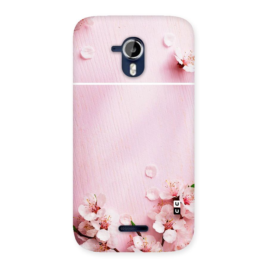 Blossom Frame Pink Back Case for Micromax Canvas Magnus A117