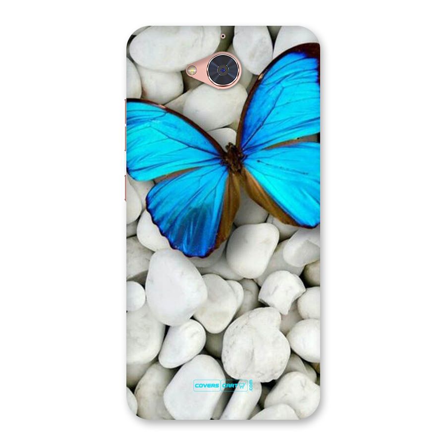 Blue Butterfly Back Case for Gionee S6 Pro