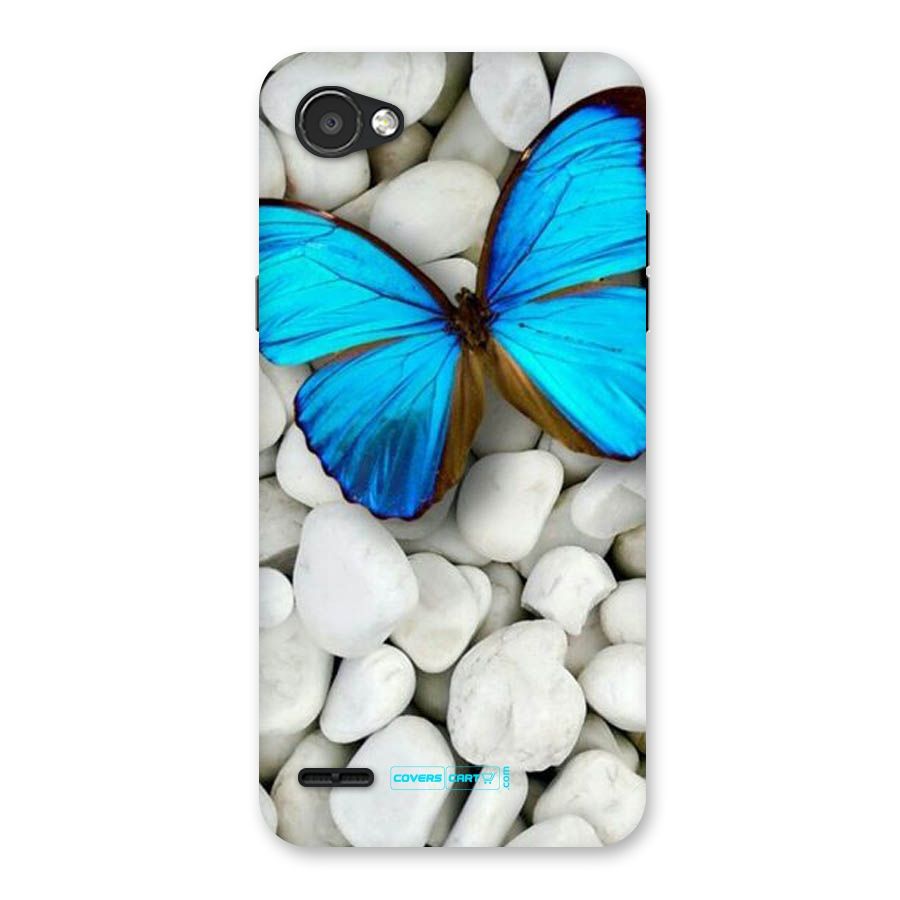 Blue Butterfly Back Case for LG Q6