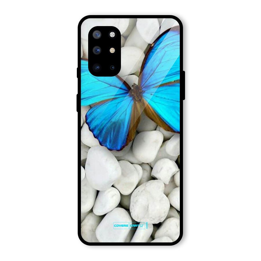 Blue Butterfly Glass Back Case for OnePlus 8T