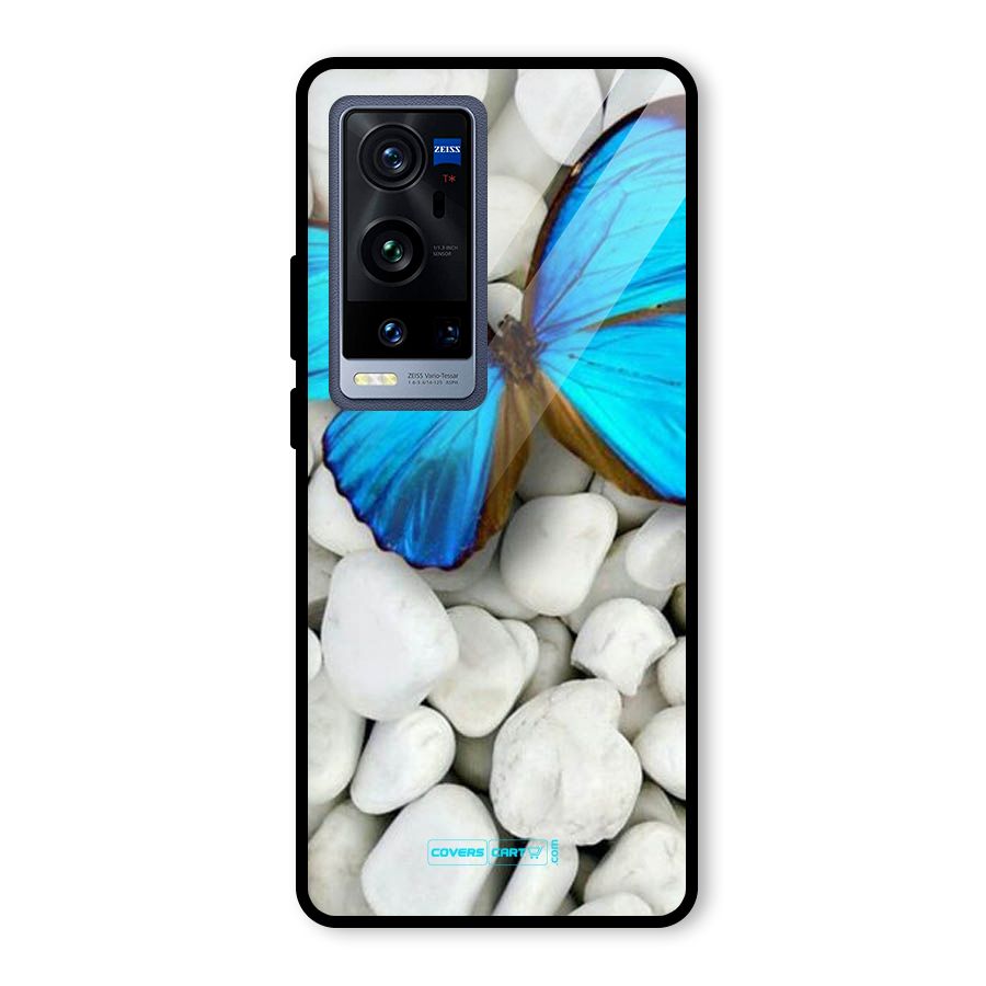 Blue Butterfly Glass Back Case for Vivo X60 Pro Plus