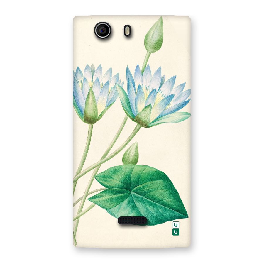 Blue Lotus Back Case for Canvas Nitro 2 E311
