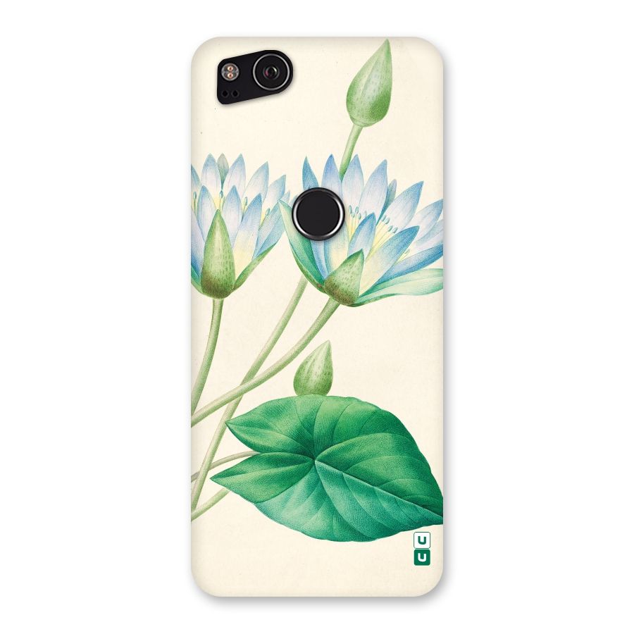 Blue Lotus Back Case for Google Pixel 2