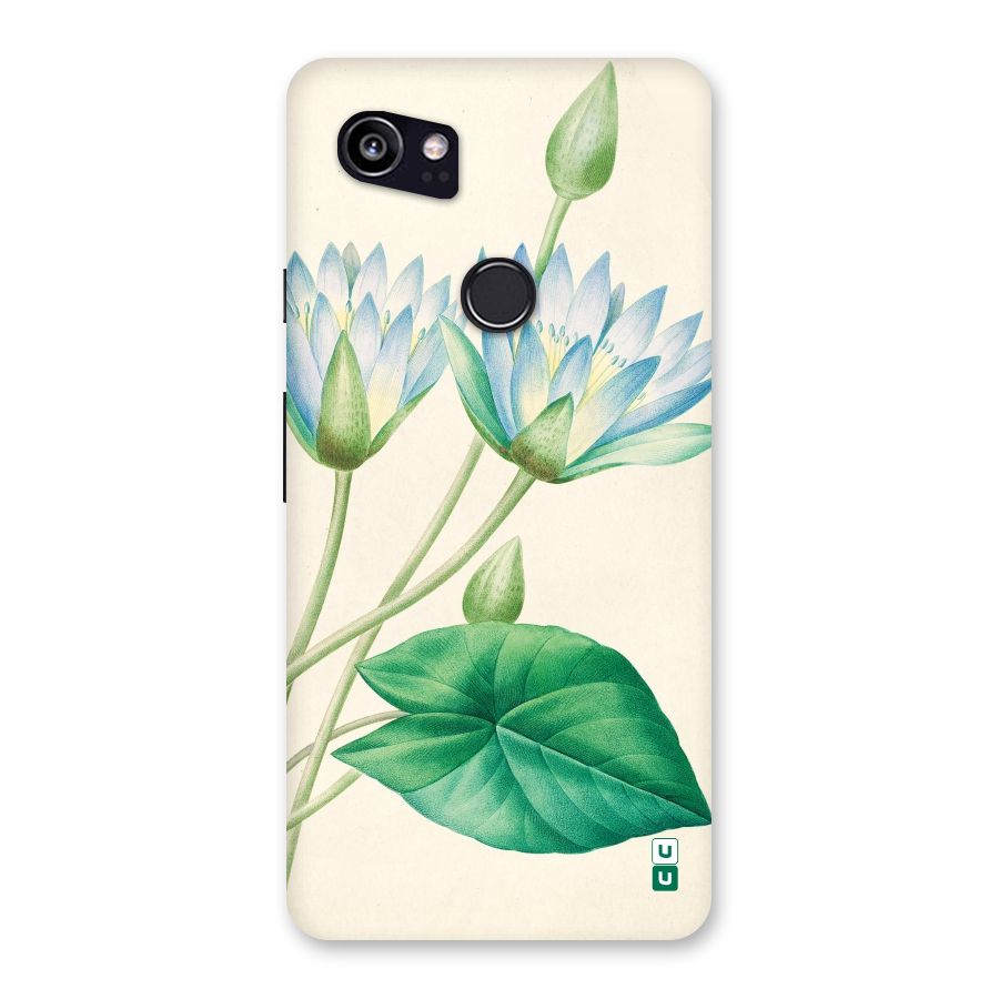 Blue Lotus Back Case for Google Pixel 2 XL