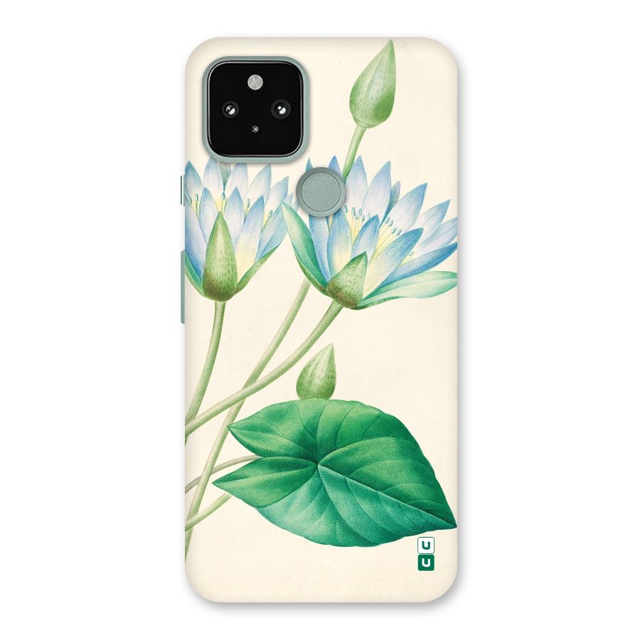 Blue Lotus Back Case for Google Pixel 5