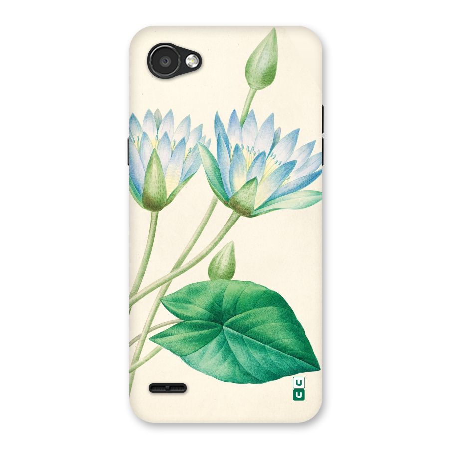 Blue Lotus Back Case for LG Q6
