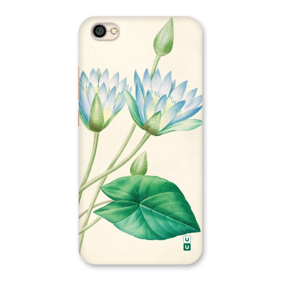 Blue Lotus Back Case for Redmi Y1 Lite
