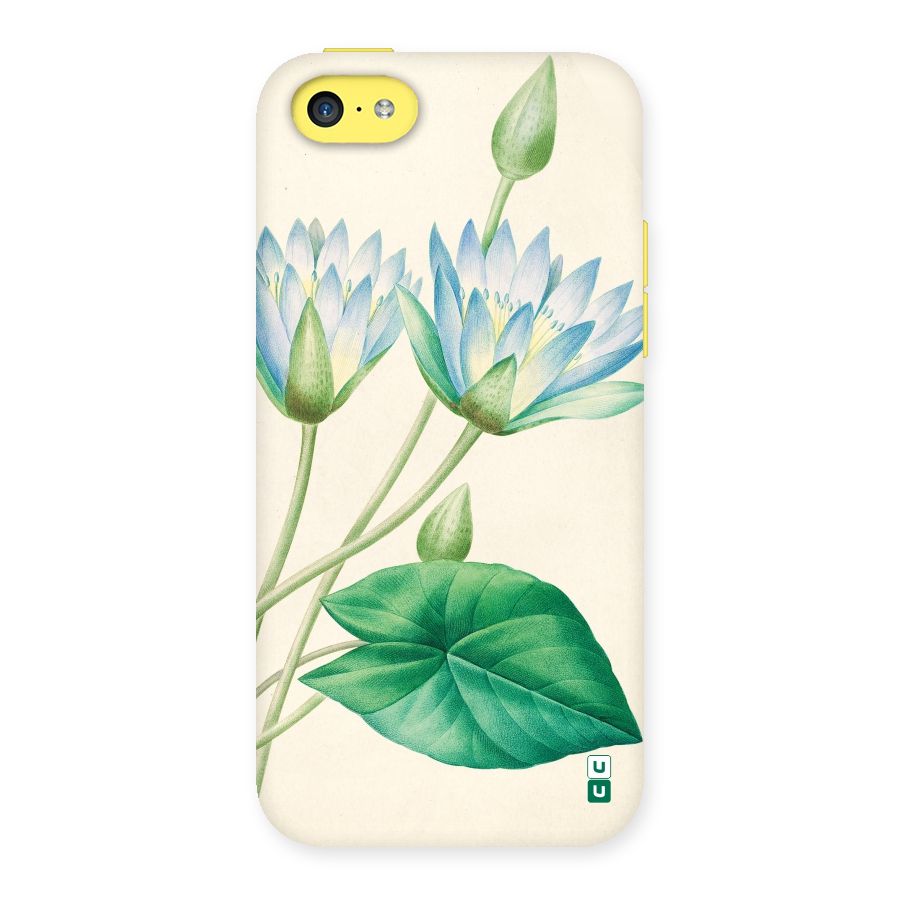 Blue Lotus Back Case for iPhone 5C