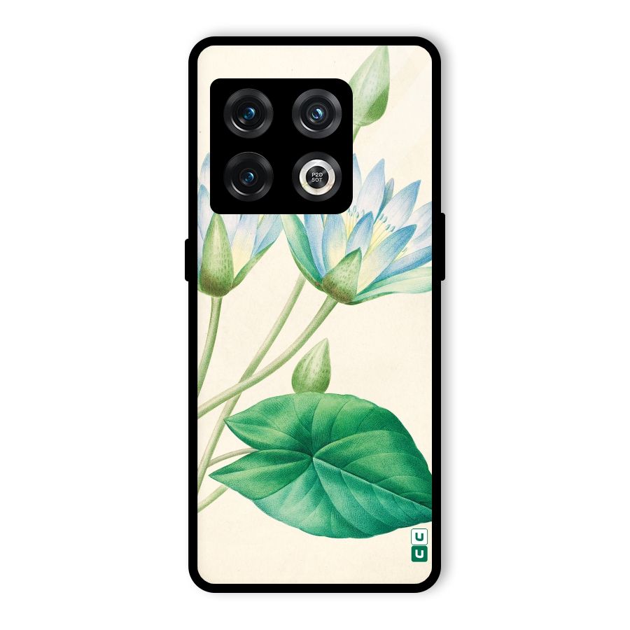 Blue Lotus Glass Back Case for OnePlus 10 Pro 5G