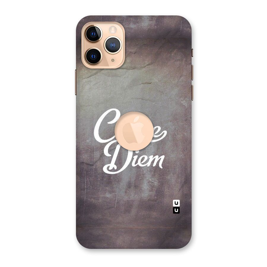 Board Diem Back Case for iPhone 11 Pro Max Logo Cut