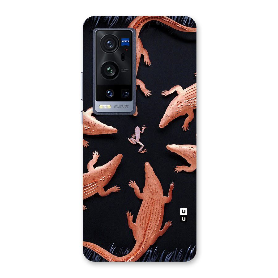 Brave Frog Back Case for Vivo X60 Pro Plus