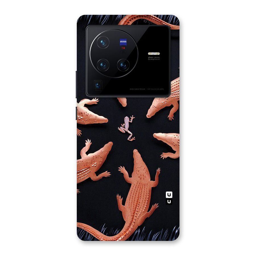 Brave Frog Back Case for Vivo X80 Pro