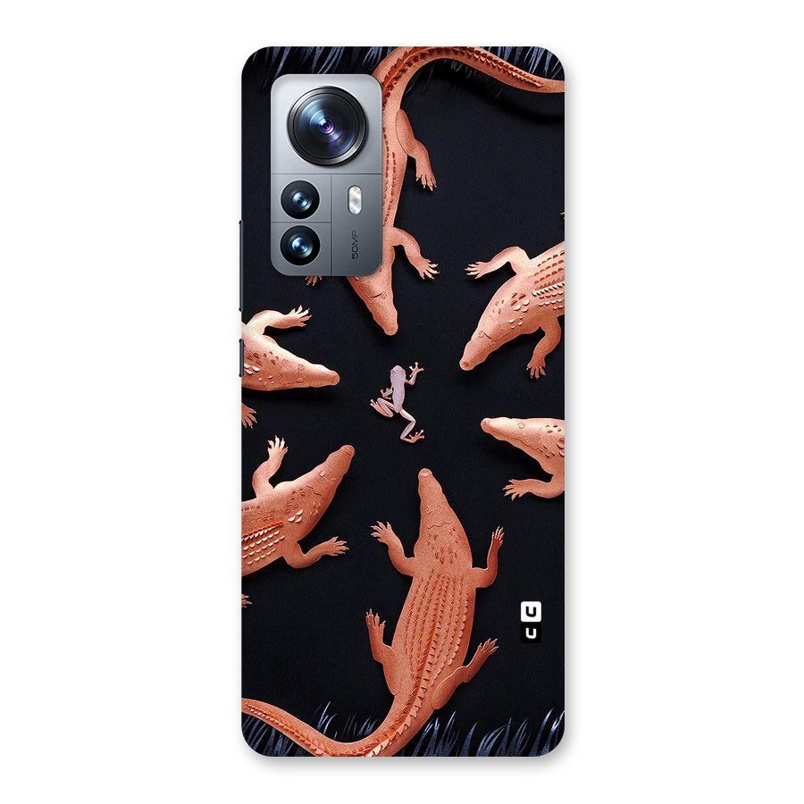 Brave Frog Back Case for Xiaomi 12 Pro