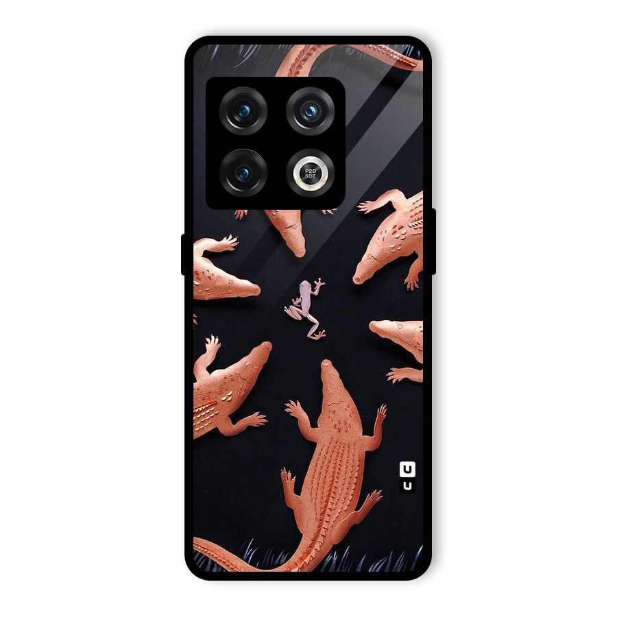 Brave Frog Glass Back Case for OnePlus 10 Pro 5G