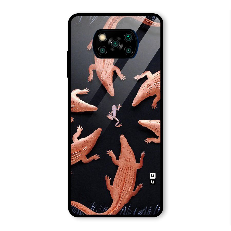 Brave Frog Glass Back Case for Poco X3 Pro