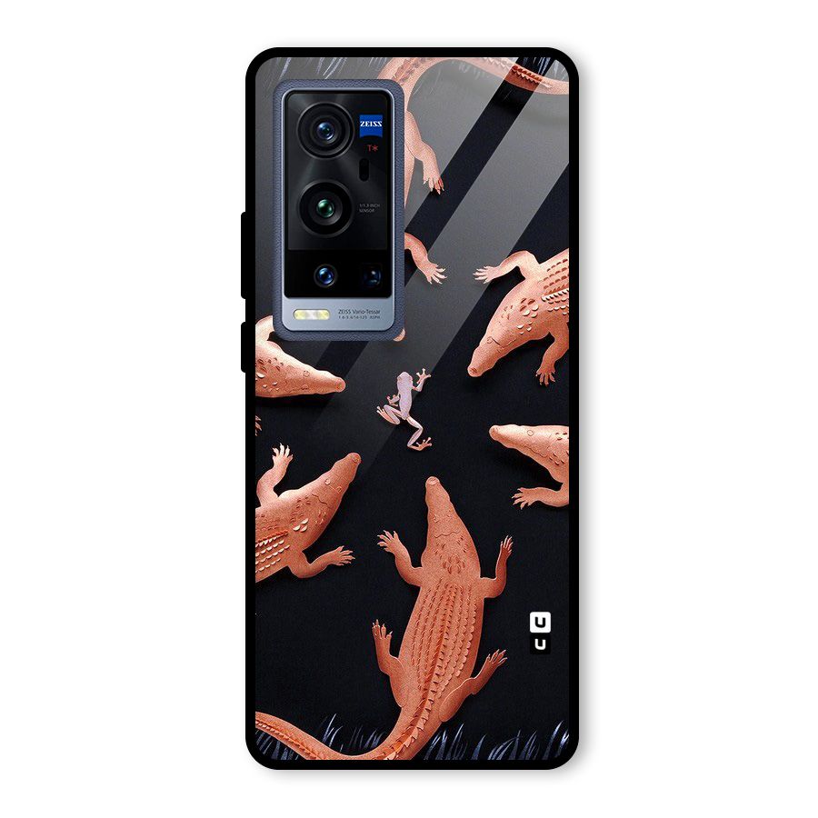 Brave Frog Glass Back Case for Vivo X60 Pro Plus